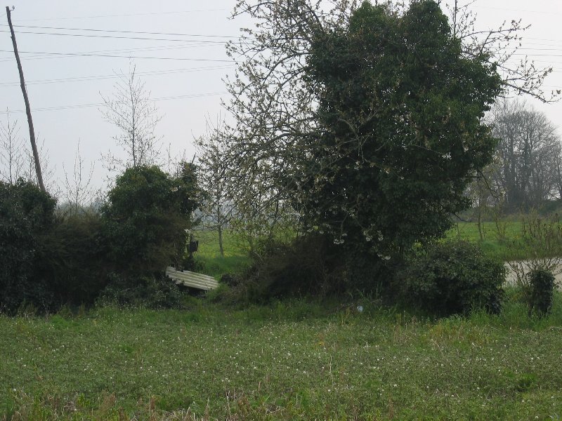 cliquer pour agrandir